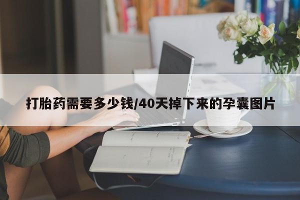 药流药购买联系打胎药需要多少钱/40天掉下来的孕囊图片